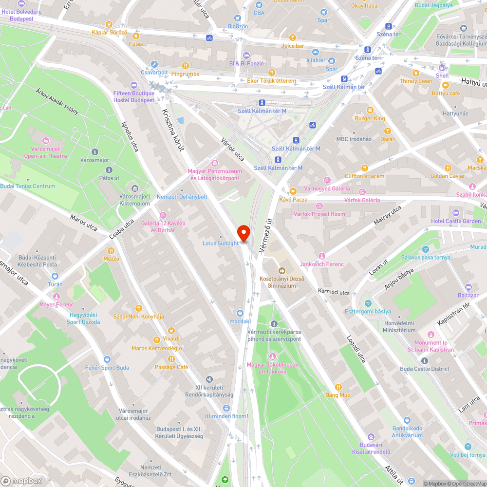 Kidöntött fa, üres fahely, parkolás bejelentés helye