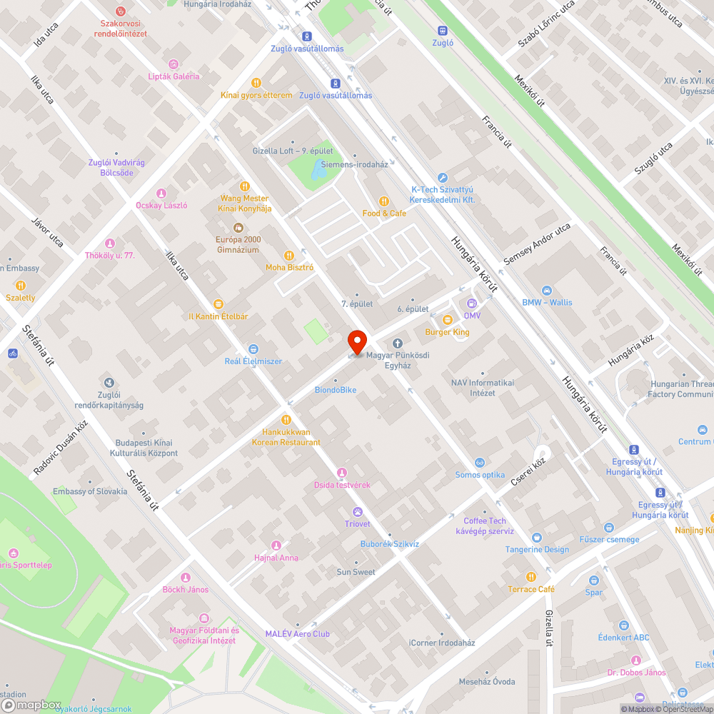 Közműdoboz oldalában vadon kihajtó fa bejelentés helye