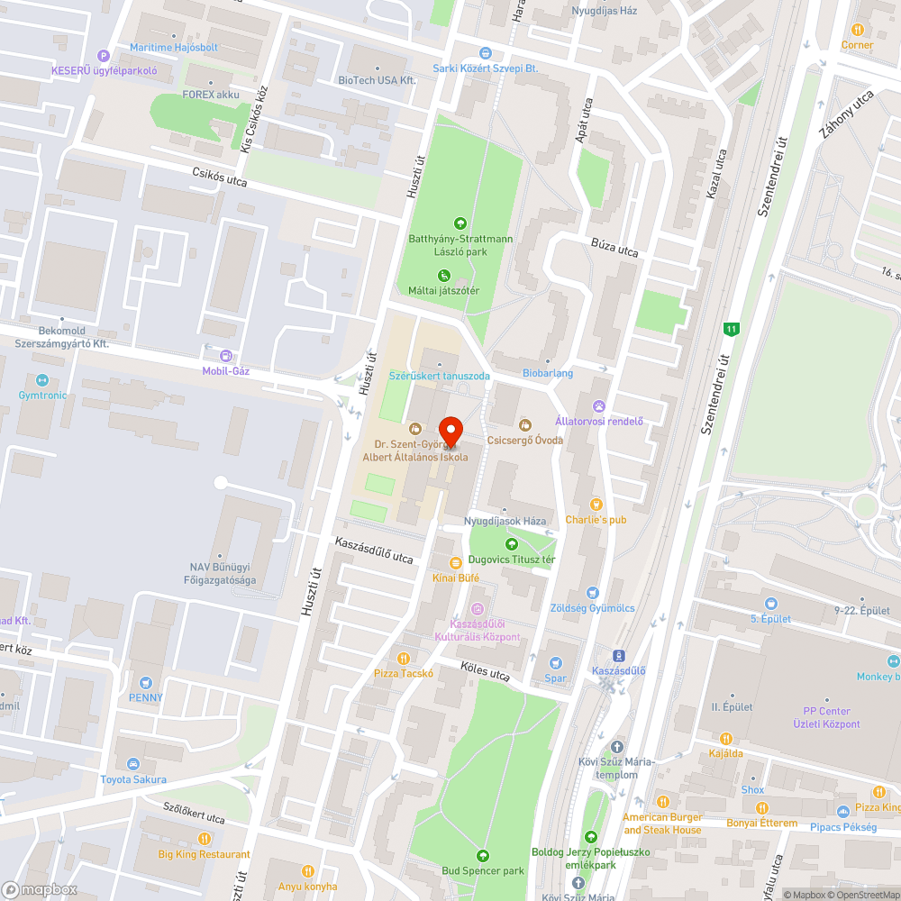 Patkányok az általános iskola oldalában bejelentés helye