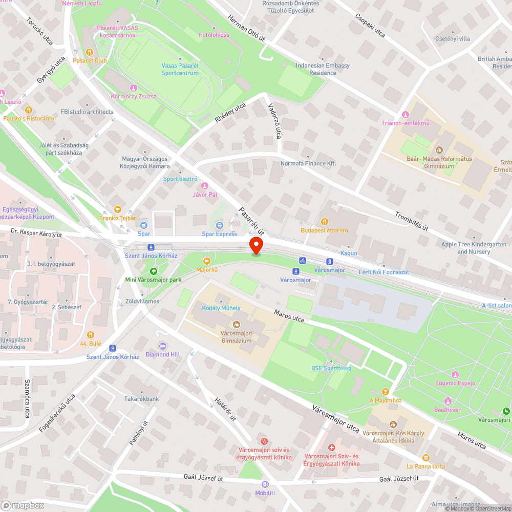 Takarítatlan kerékpárút és zöldhulladék a Városmajor mellett bejelentés helye