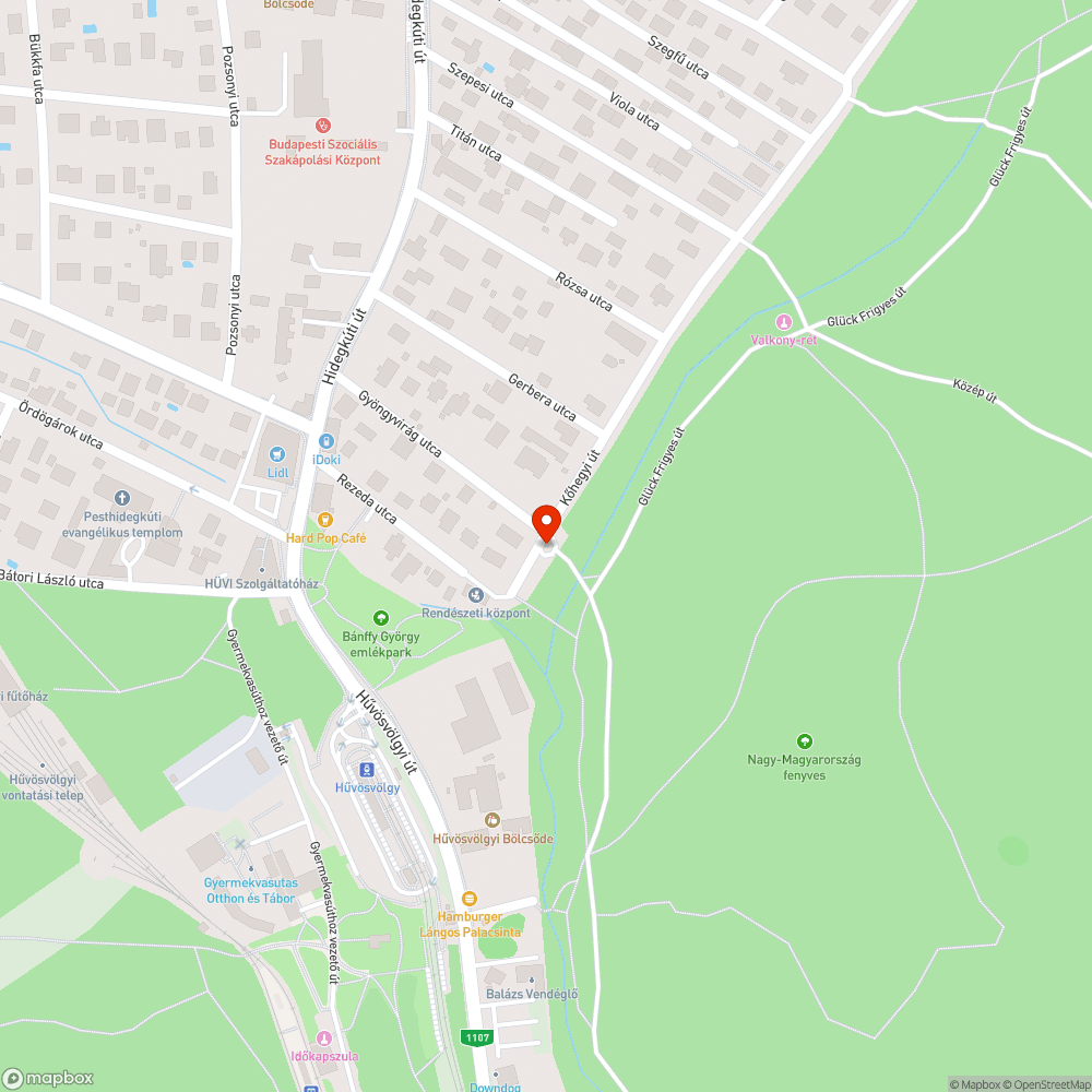 Megdöntött oszlop bejelentés helye