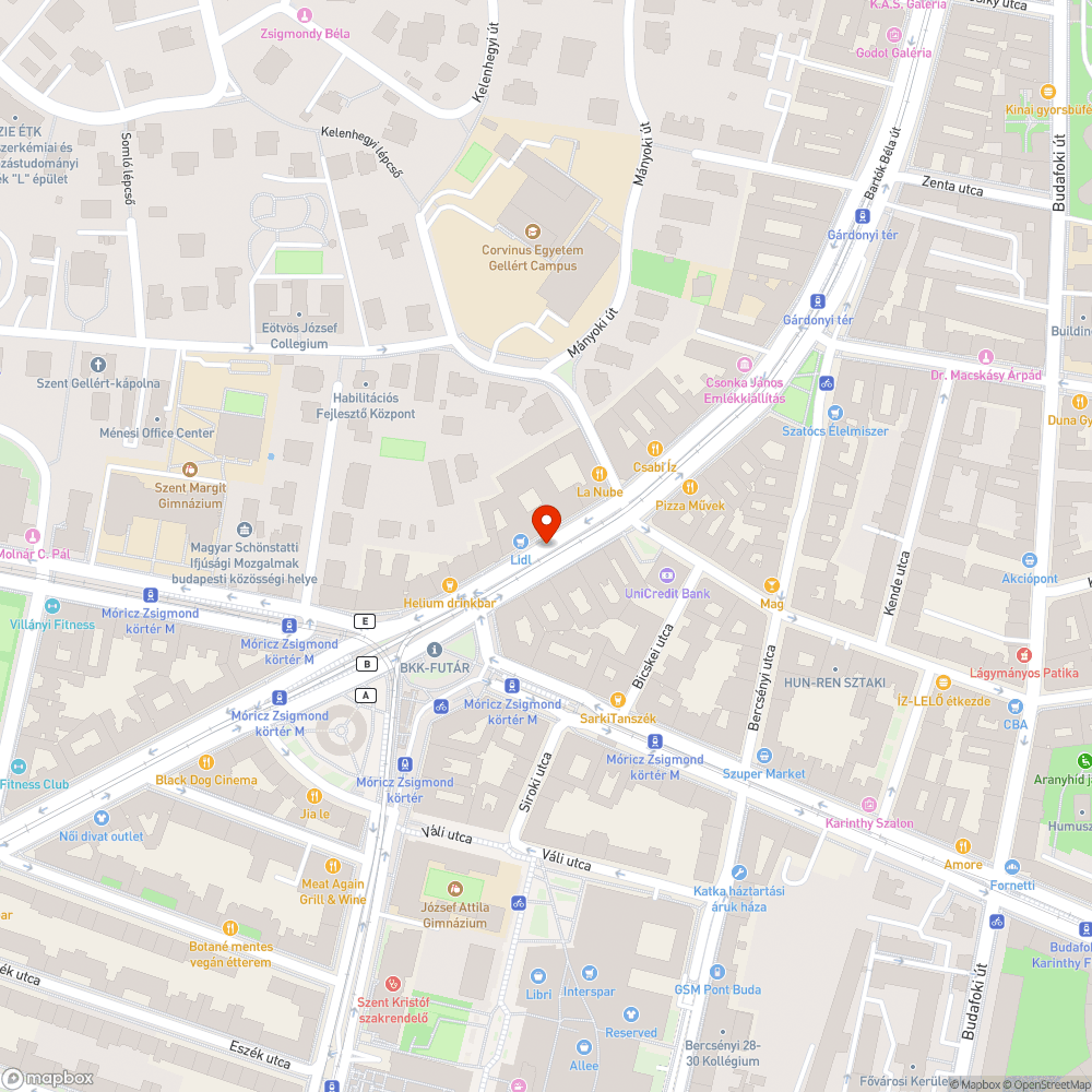 Szemét az utcán - Budapest, Bartók Béla út 49 bejelentés helye