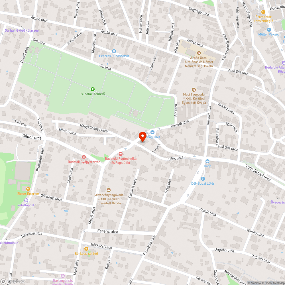 Gazdátlan autó a Temető utcában bejelentés helye