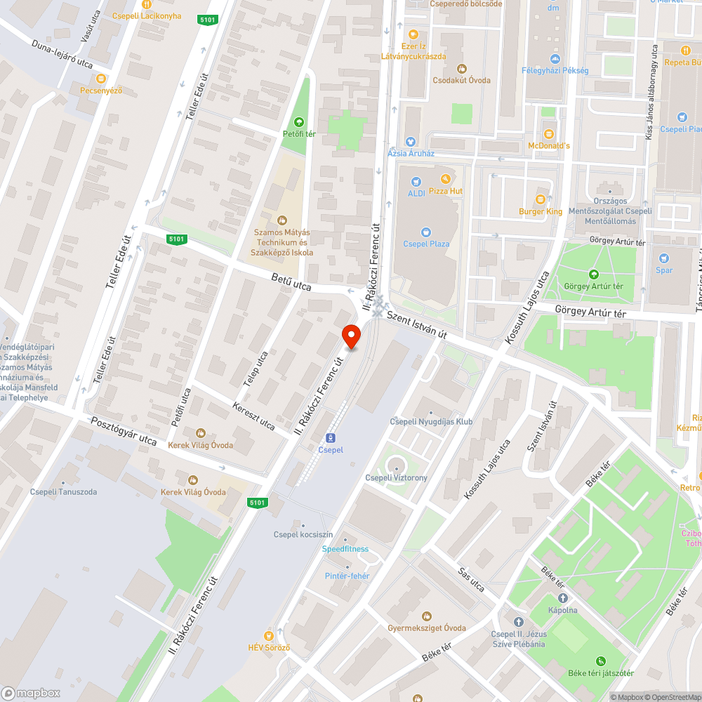 Elhunyt állat a járdán bejelentés helye