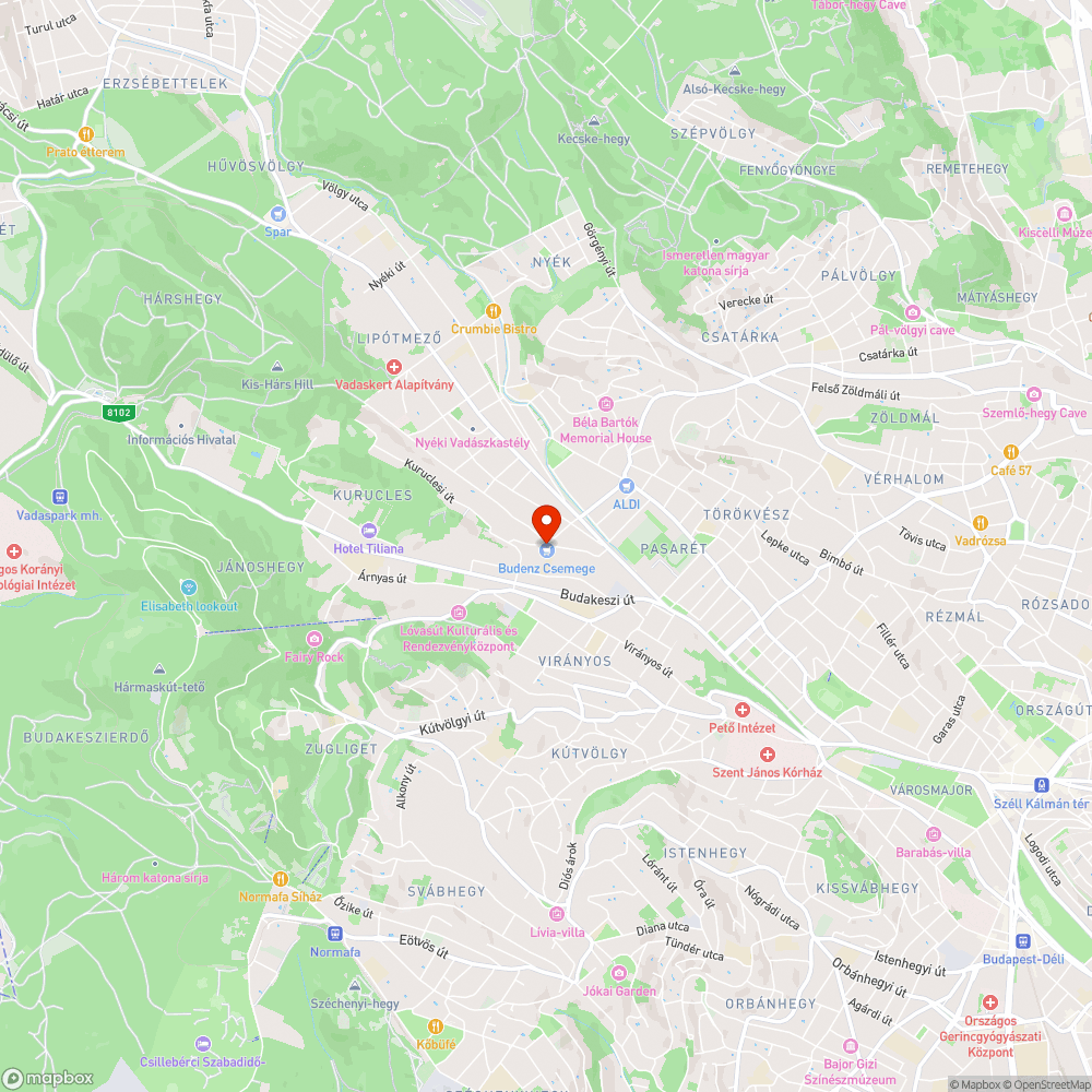 Kátyú az úttesten, Budenz utcai CBA bejelentés helye