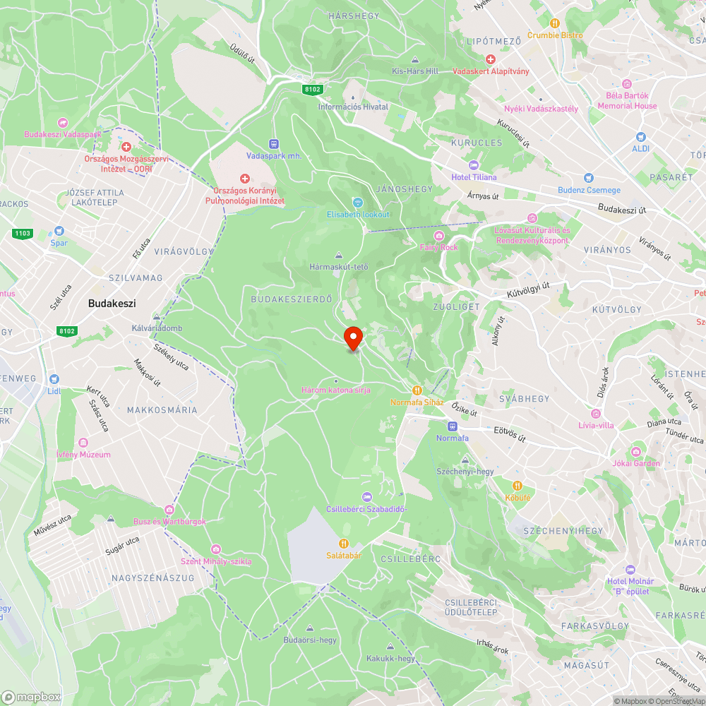 Letarolt erdő a Gyermekvasút vonalán bejelentés helye