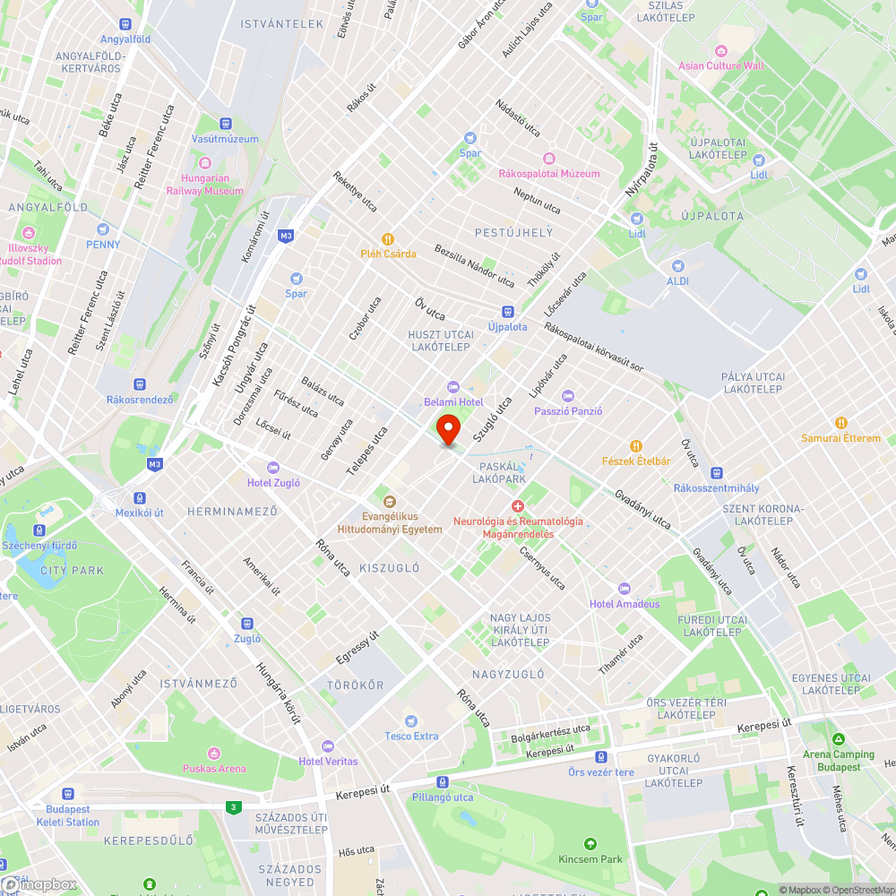 Elütött macska bejelentés helye