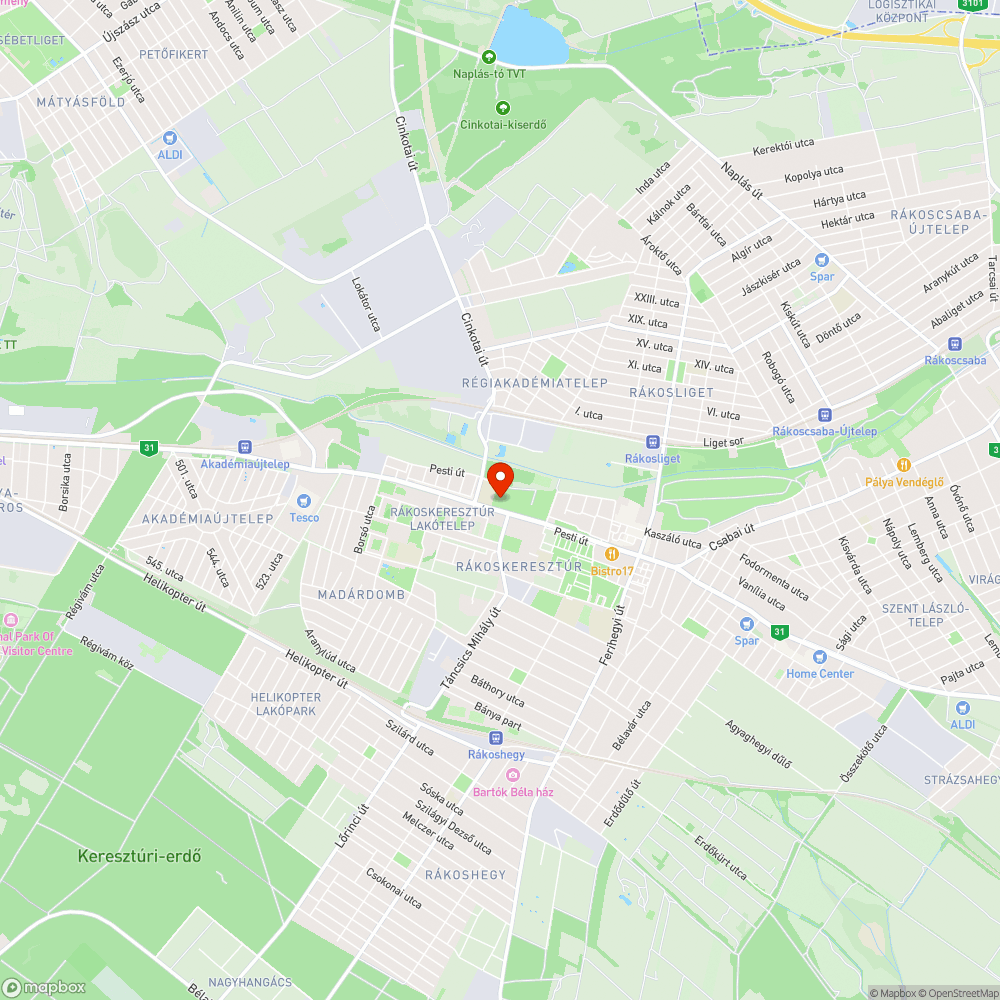 Bartók Béla emlékfája bejelentés helye