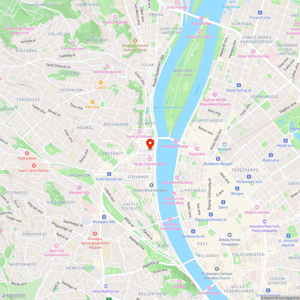 Lekopott zebra a Fekete Sas utcában bejelentés helye