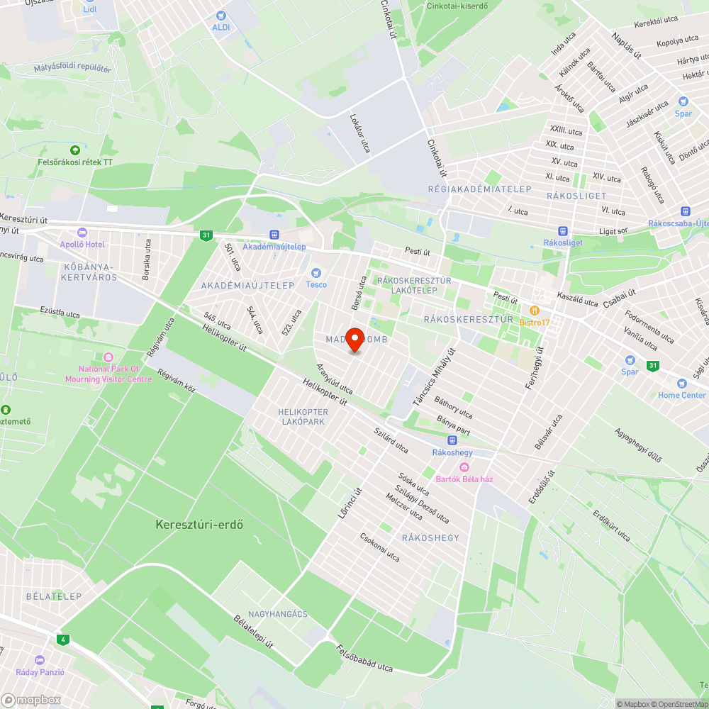 Ott felejtett(?) levágott faágak... bejelentés helye