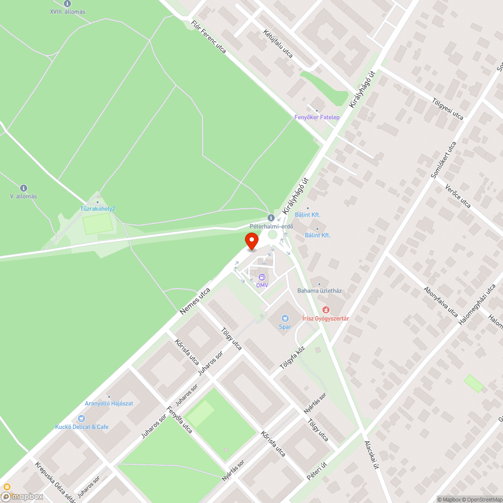 Megsüllyedt útfelület. bejelentés helye