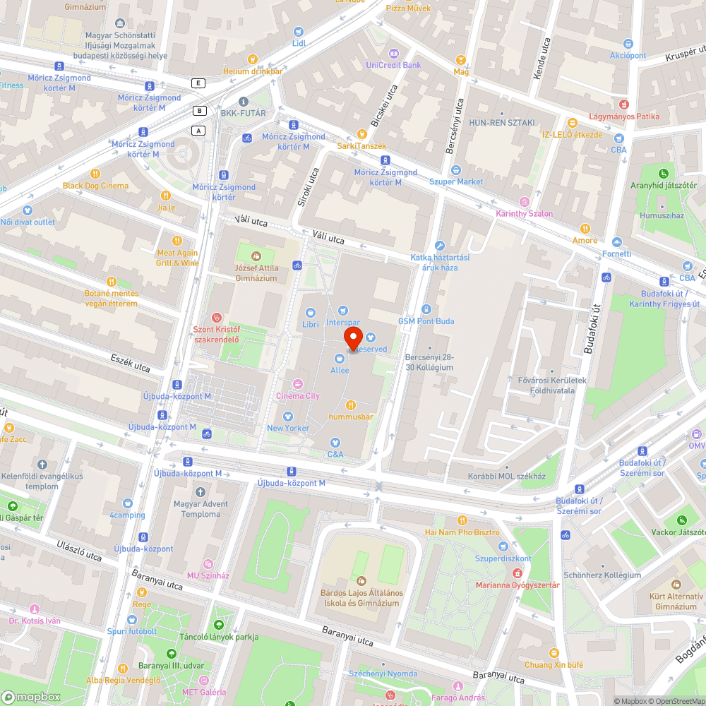 Fényszennyező LEDfal az Allee oldalán bejelentés helye