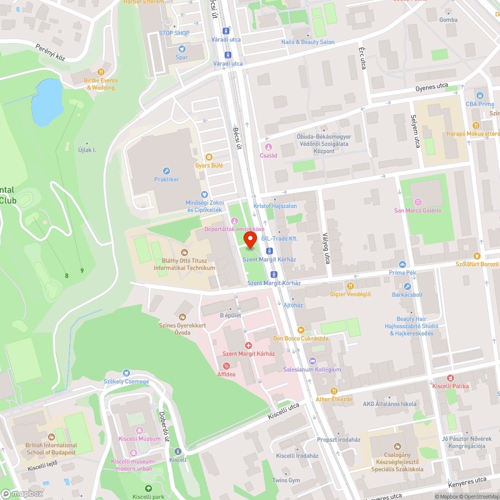 Ürítetlen szemetesek és eldobált szemét bejelentés helye