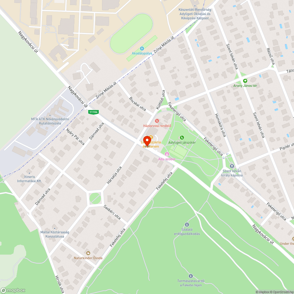 Zebra felfestés kopott, kivilágítás is minimális bejelentés helye