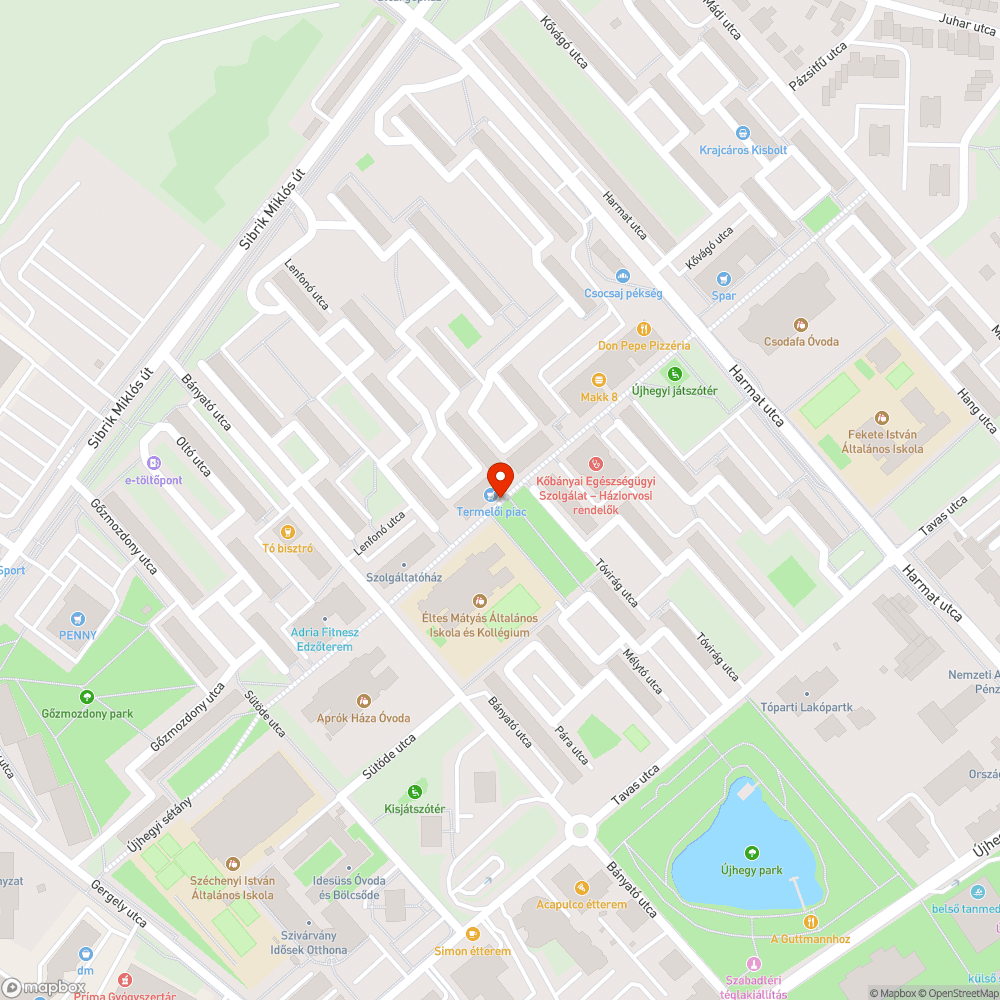 Kövek az ültetett fák mellett bejelentés helye