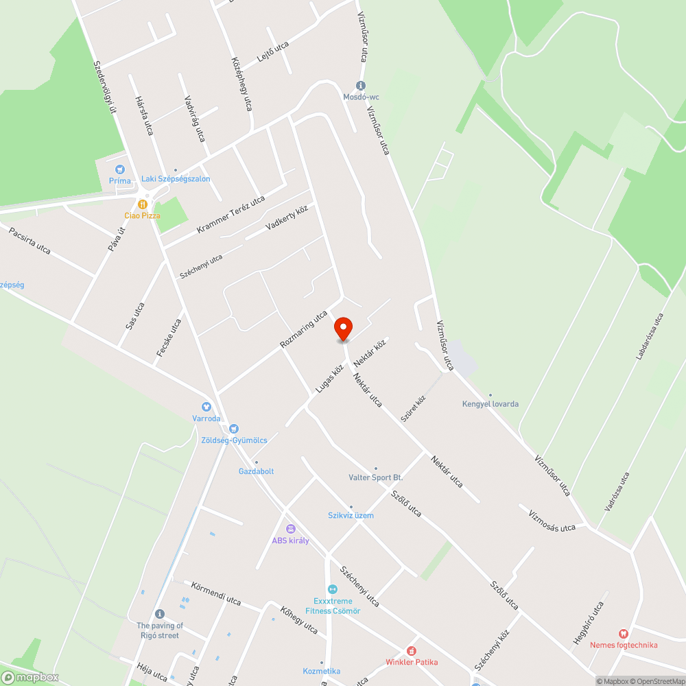 Elhagyottnak tűnő autó bejelentés helye