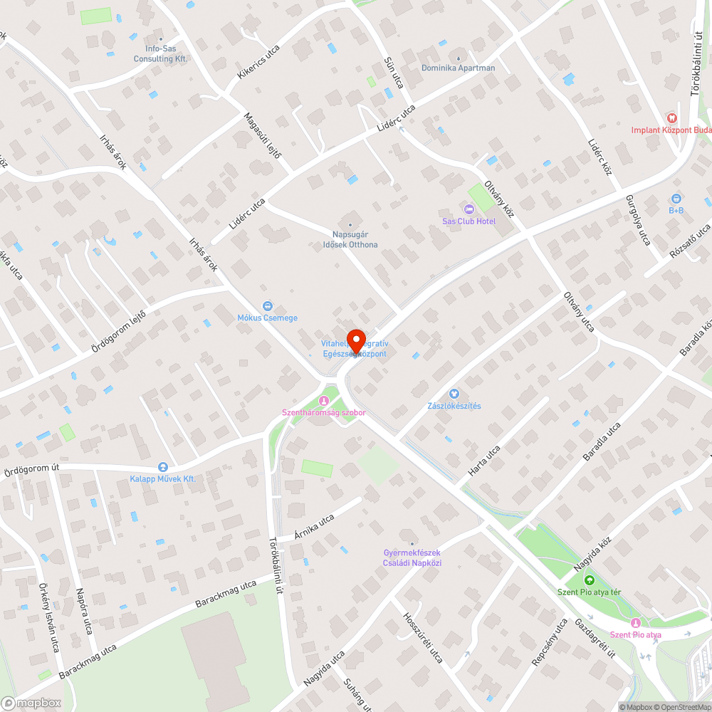 Vastag sár és tócsák a keskeny járdán bejelentés helye