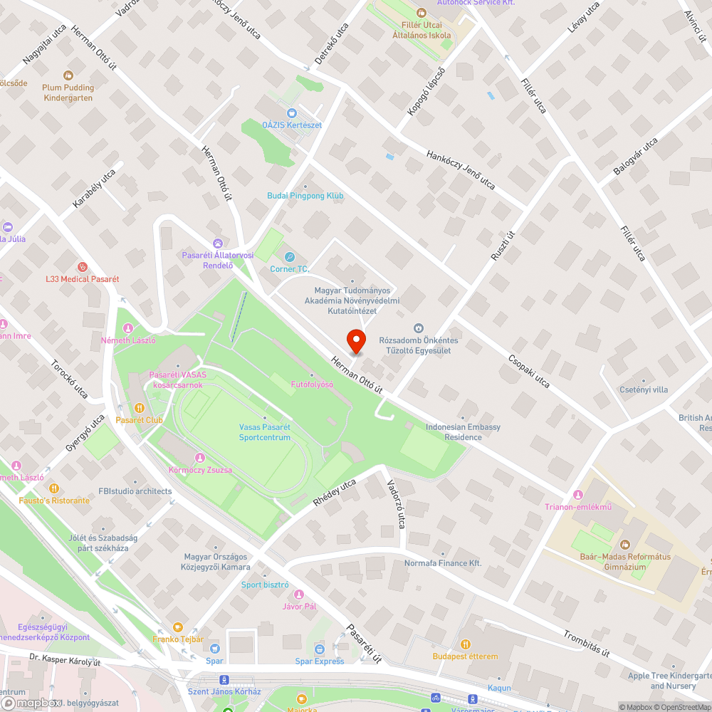 Otthagyott levágott faágak bejelentés helye