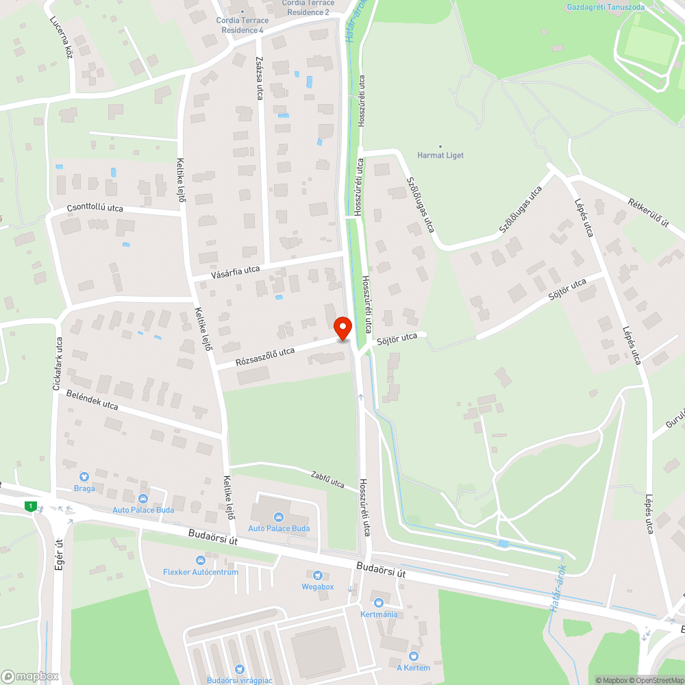A Rózsaszőlő utca és a Hosszúréti utca nem rendelkezik megfelelő aszfaltburolattal bejelentés helye
