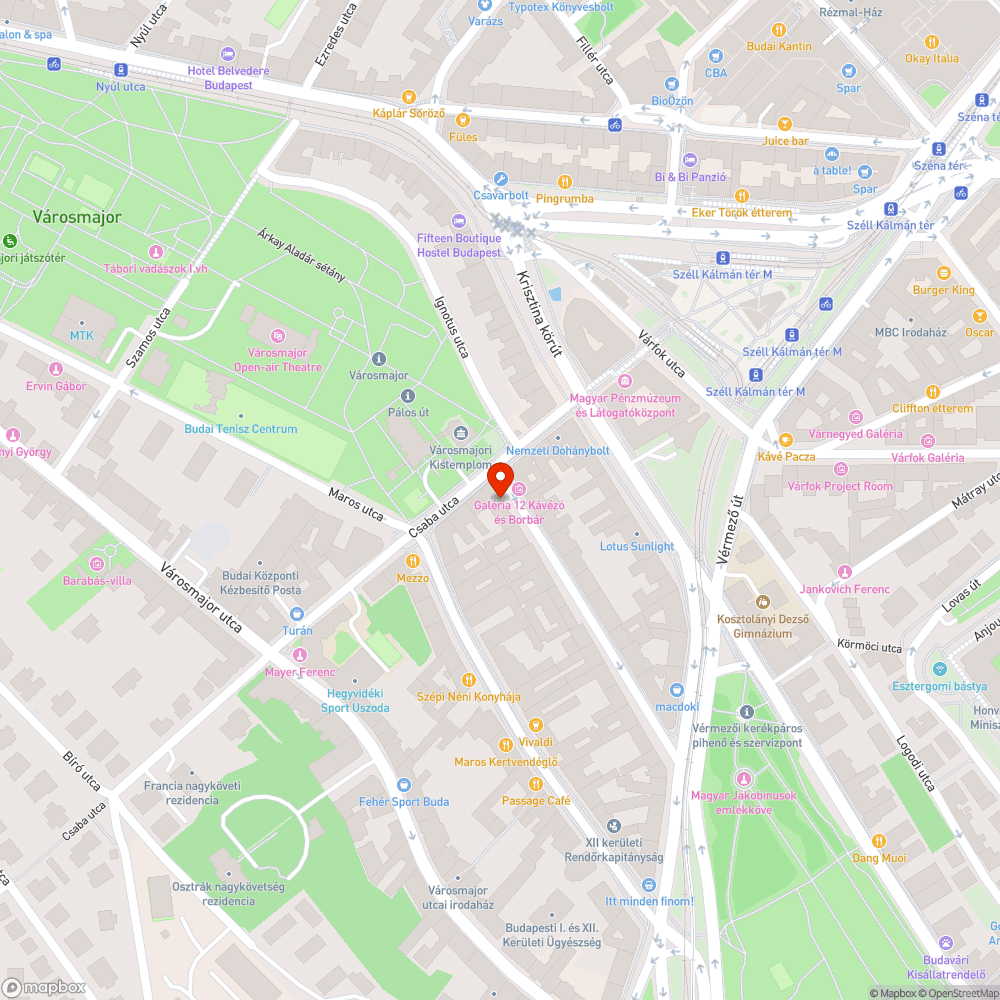 Kiszedett és kivágott pollerek a Hajnóczy utcában bejelentés helye