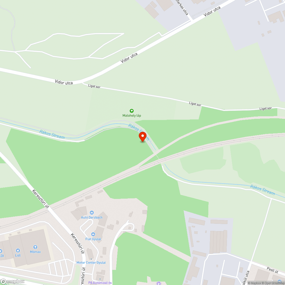 Pillepalacksziget a Rákos-patakban bejelentés helye