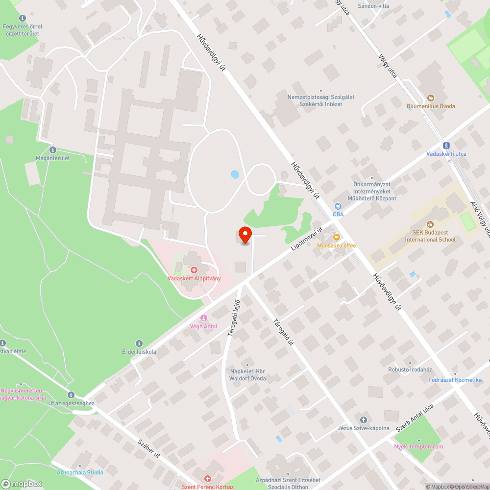 Vezetékre lógó bokrok a Lipótmezei úton bejelentés helye