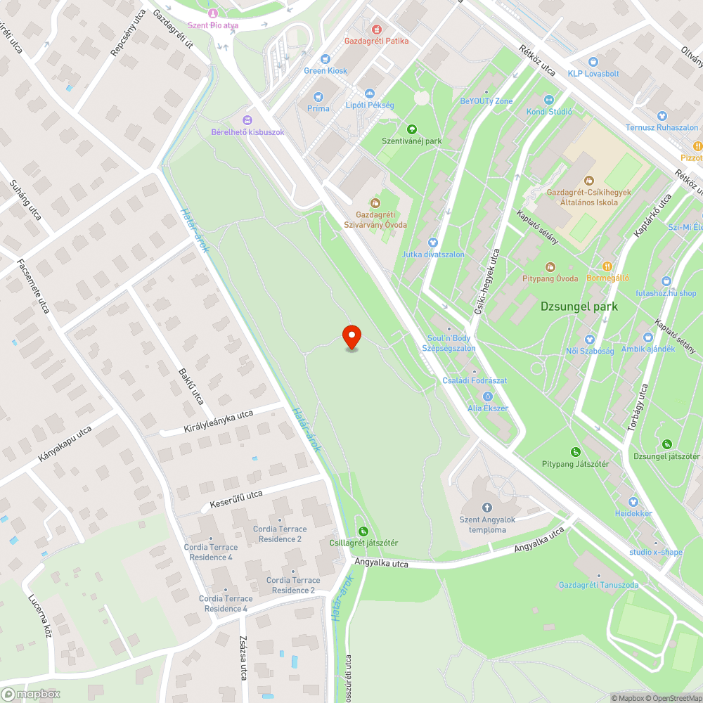 Szeméttel teli kiránduló zöldterület bejelentés helye