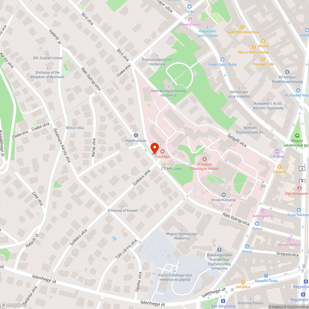 Járdába belenőtt bokor a Roskovics utcában bejelentés helye