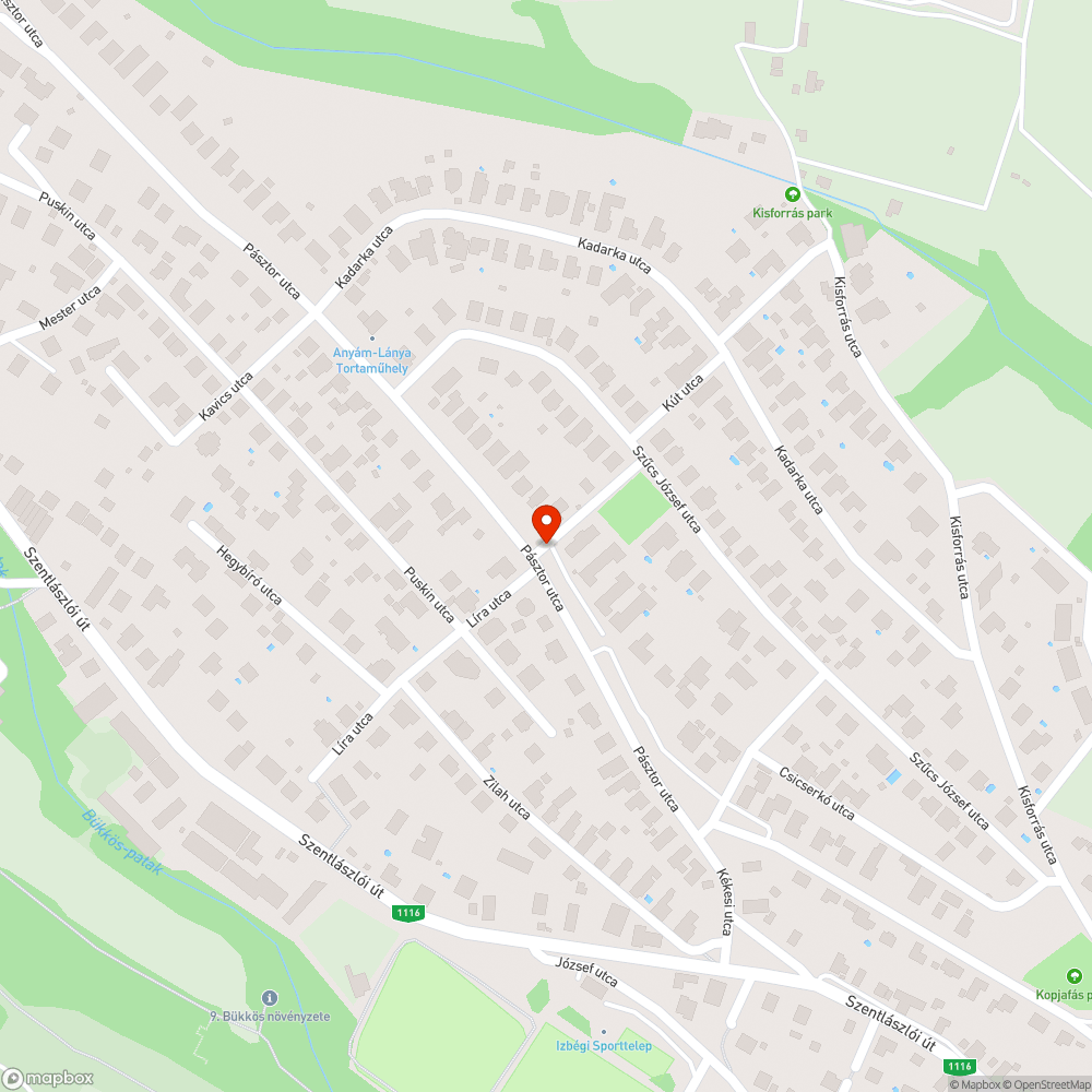 Szemét a Pásztor utca - Kút utca sarkán bejelentés helye