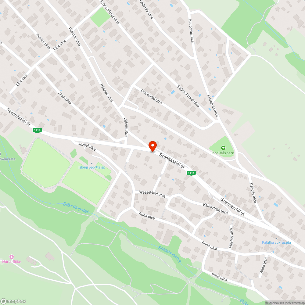 Szemét a Sportpálya buszmegálló körül és mögött, gallyaz\s bejelentés helye