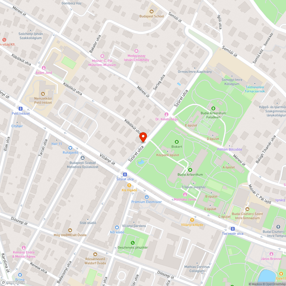 Gazdátlan autó bejelentés helye