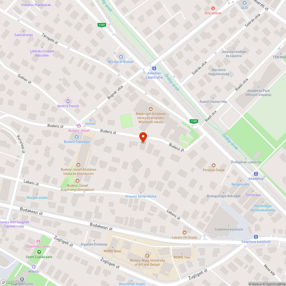 Kiégett villanyoszlop a II. Budenz u 10/B előtt bejelentés helye