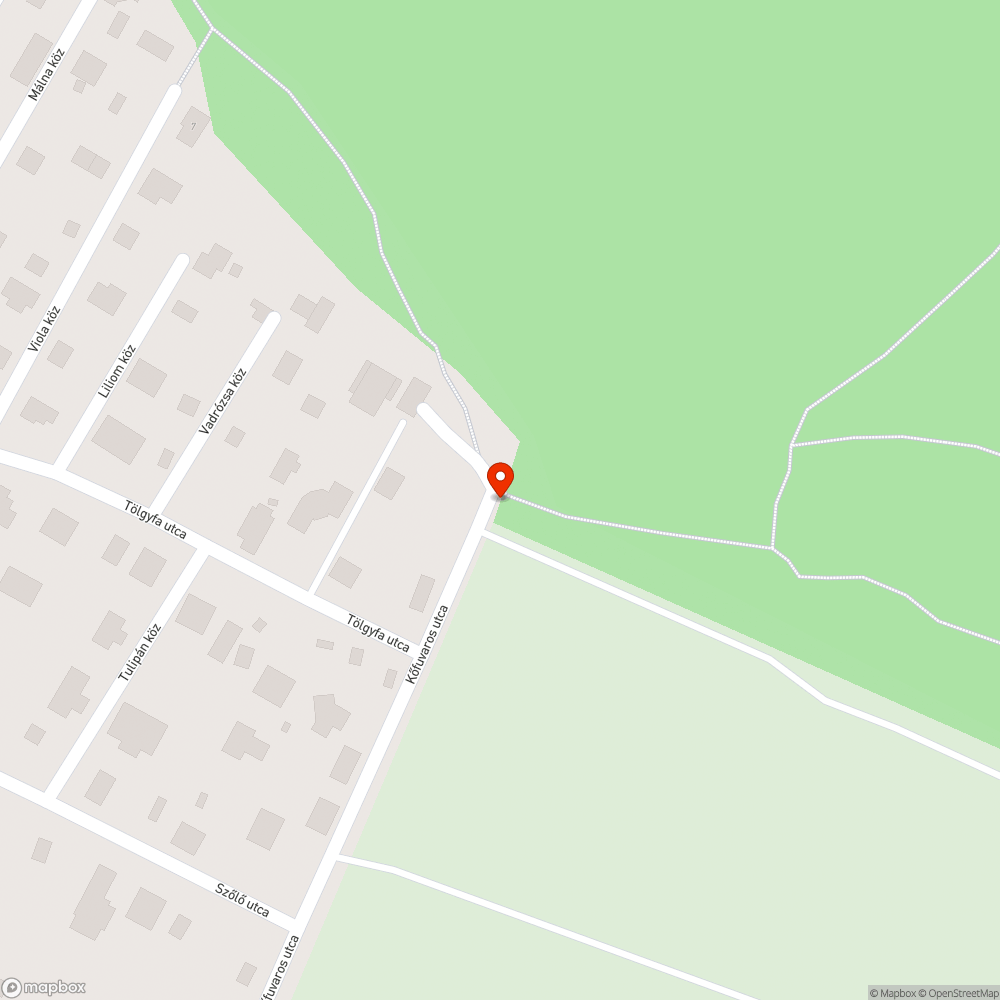 Illegális szemétlerakat az erdő alján bejelentés helye