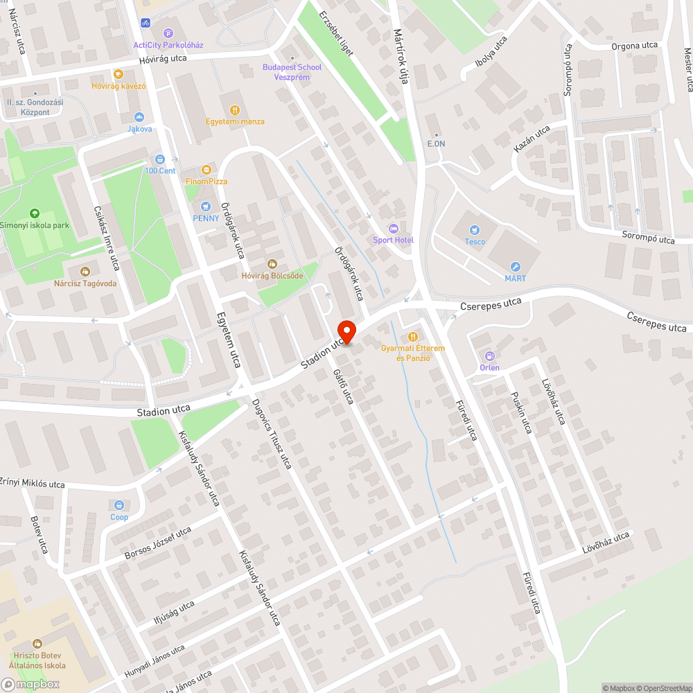 Elpusztult cica bejelentés helye