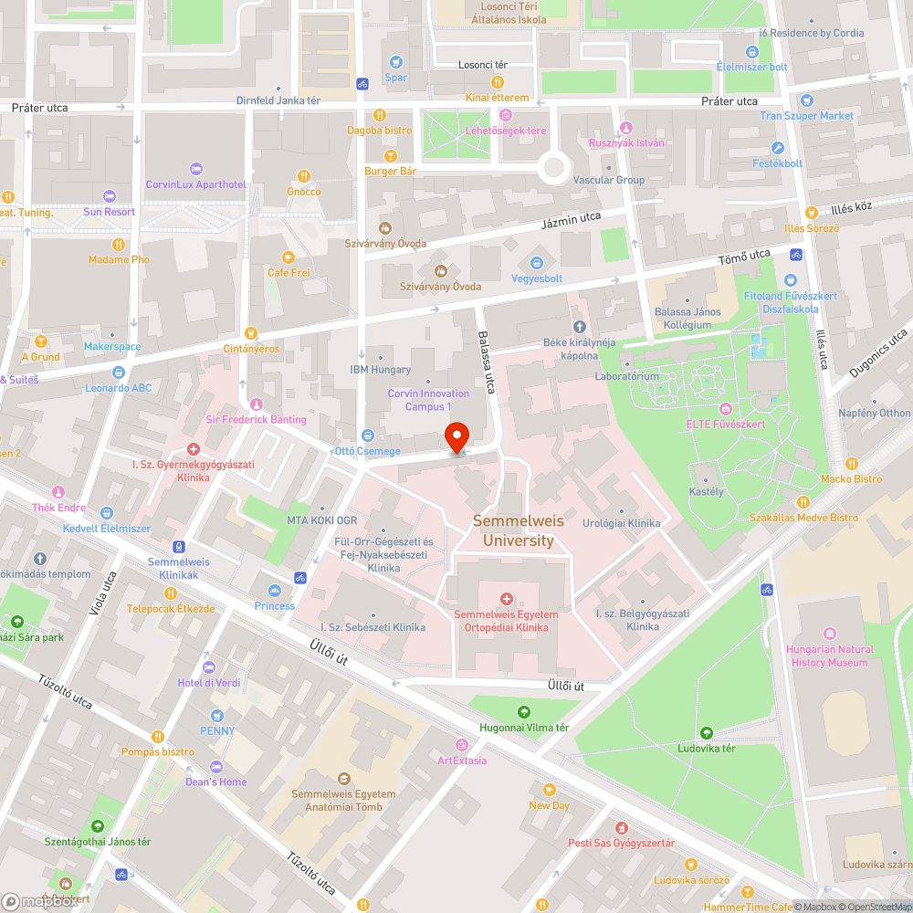 Botlásveszélyes járda bejelentés helye