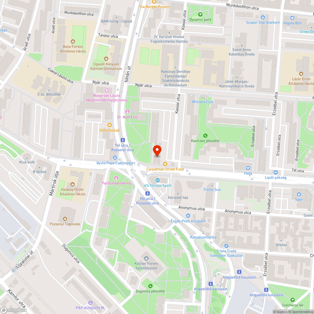 Parkolásra használt zöldterület a Tél utcában bejelentés helye