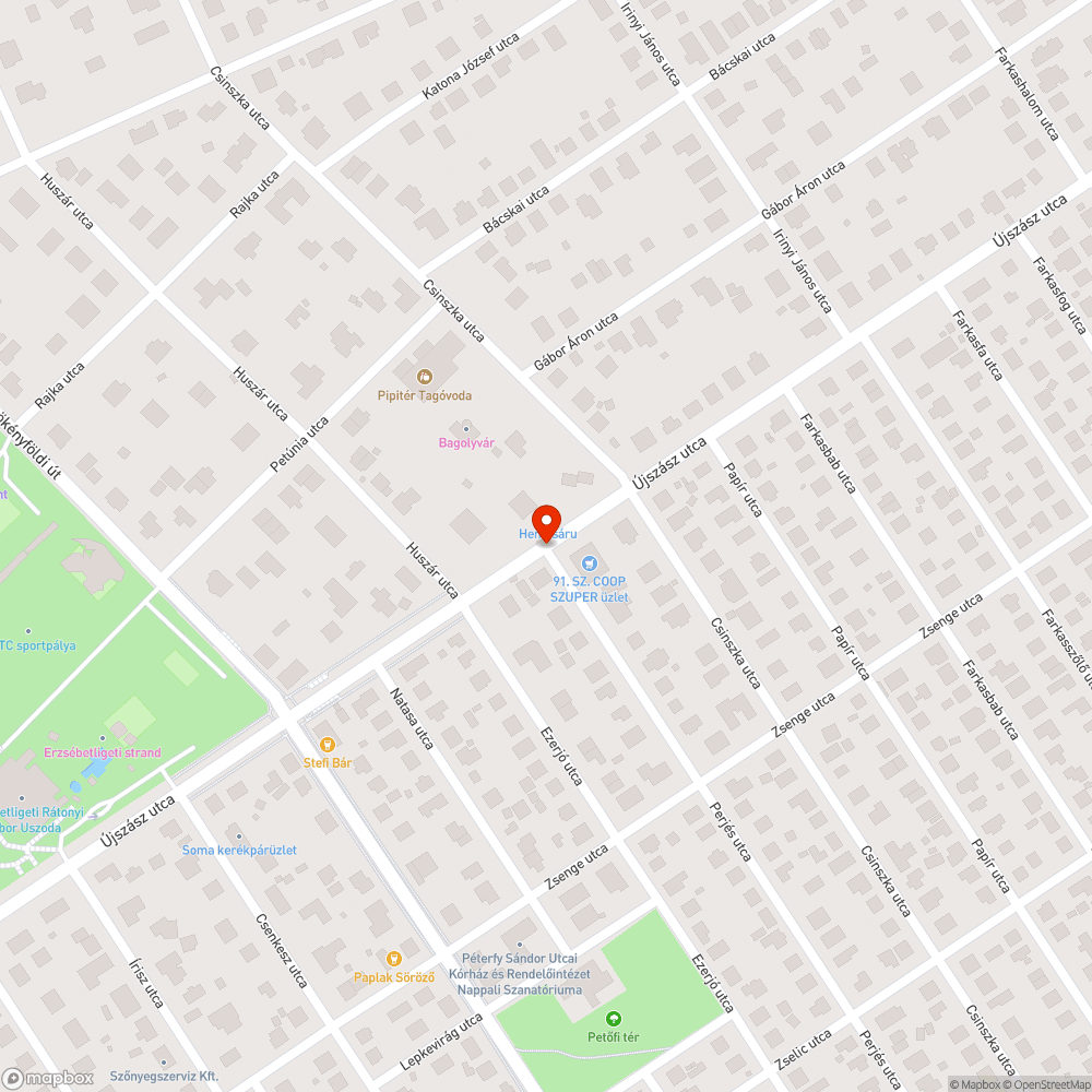 Kicsordul a szemét a kukából bejelentés helye