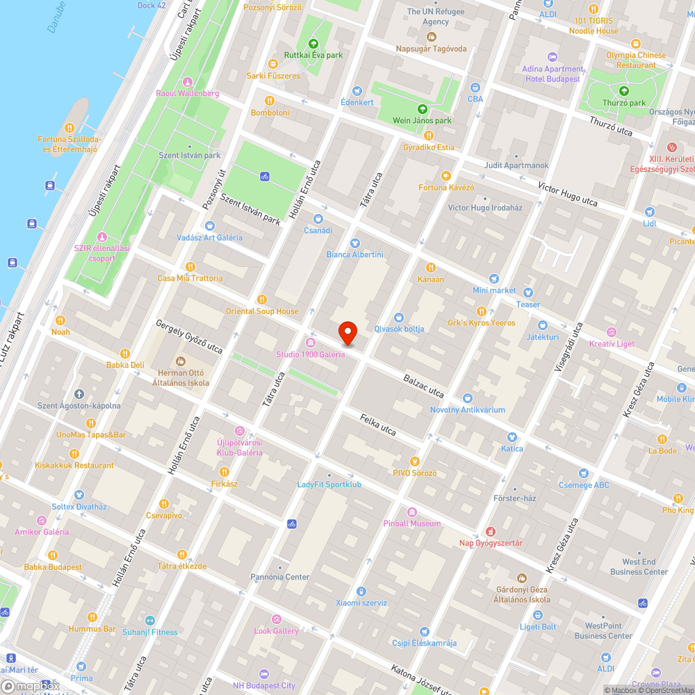 Koszos, összegrafitizett parkolóautomata bejelentés helye