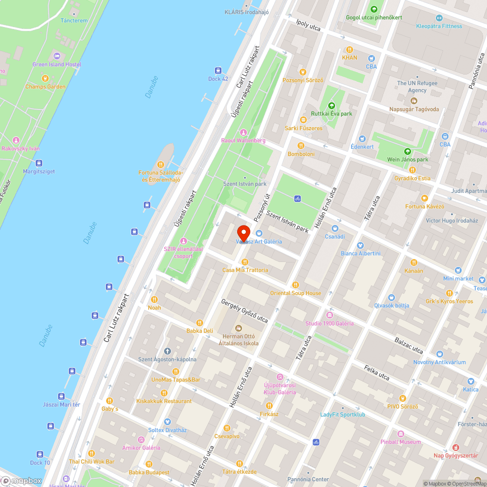 Rendezetlen állapotú zöldterület a Pozsonyi út 32.-36. között bejelentés helye