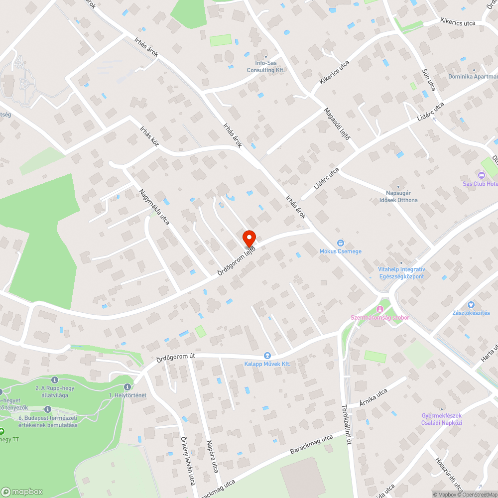 Levágott nagyméretű faágak a járdán bejelentés helye