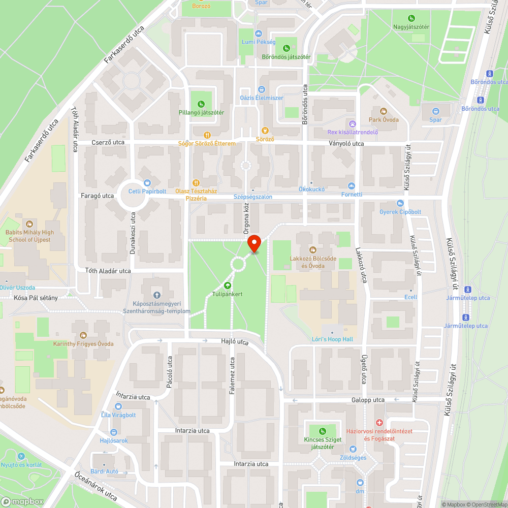 Szétrohadt a kutyakakis szemetes fedele bejelentés helye