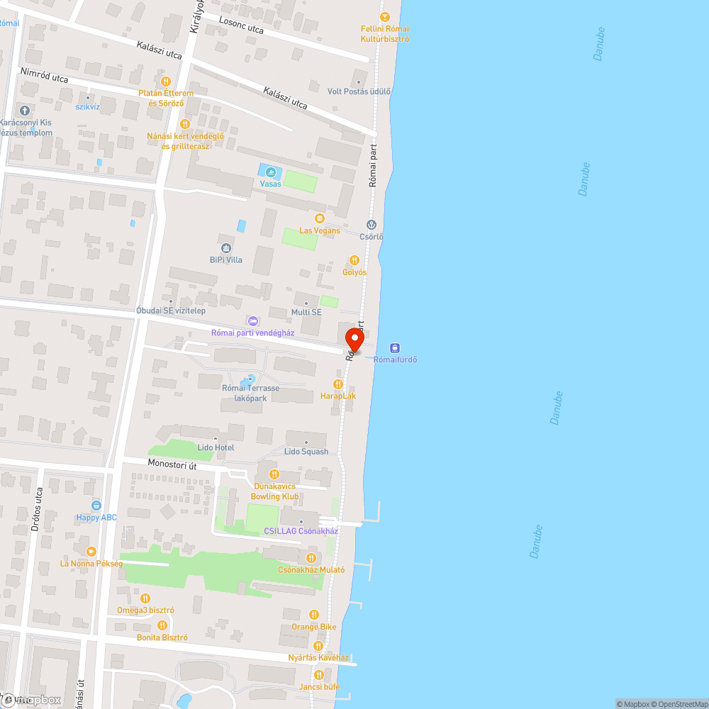 Hatalmas uszadékfa a Római-parton bejelentés helye