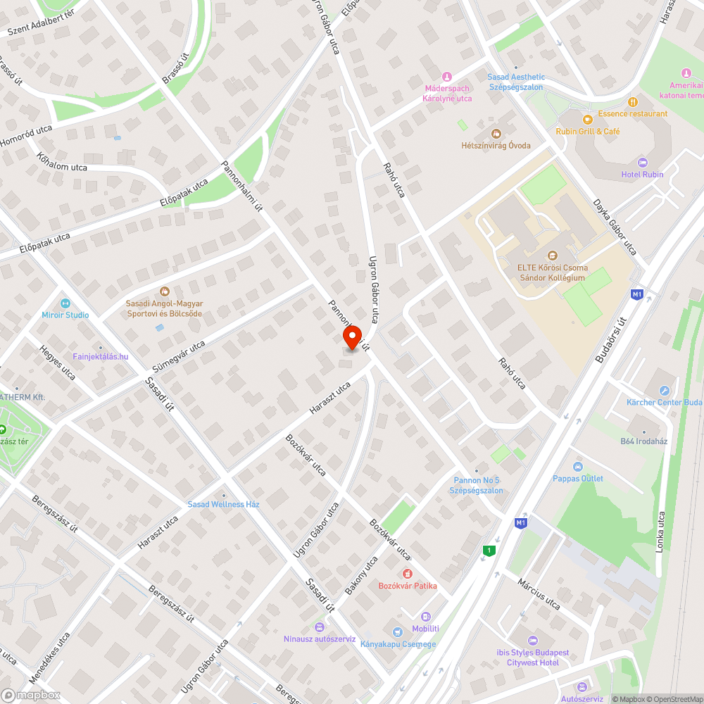 Régóta túlcsorduló szemetes bejelentés helye