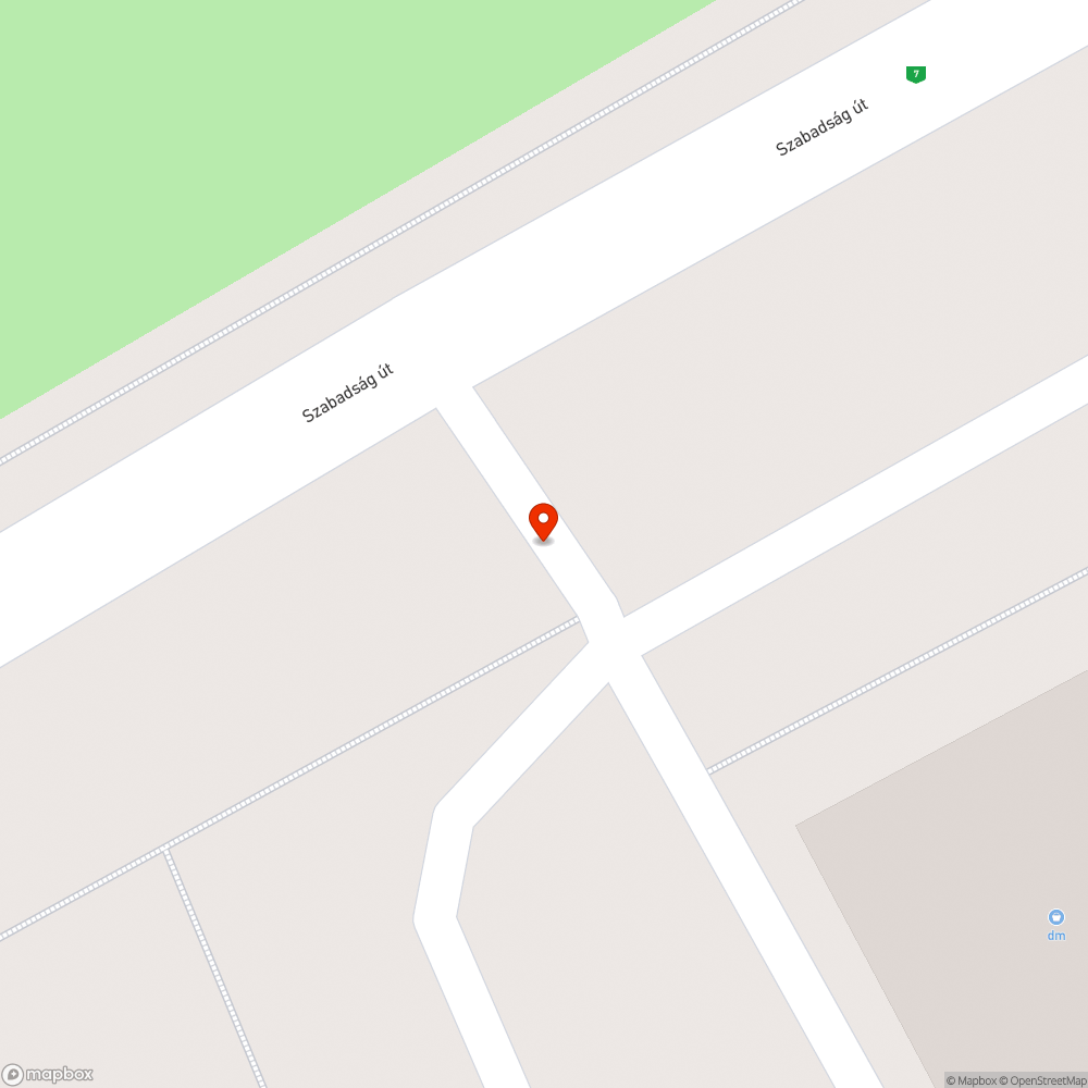 Ritkán ürített, ronda szemetes a DM parkoló mellett bejelentés helye