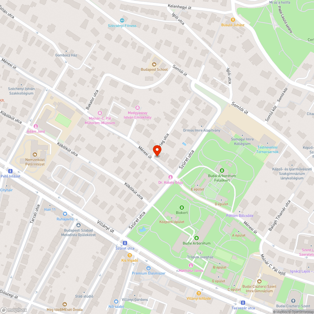 Ömlik ki a szemét a kukákból bejelentés helye