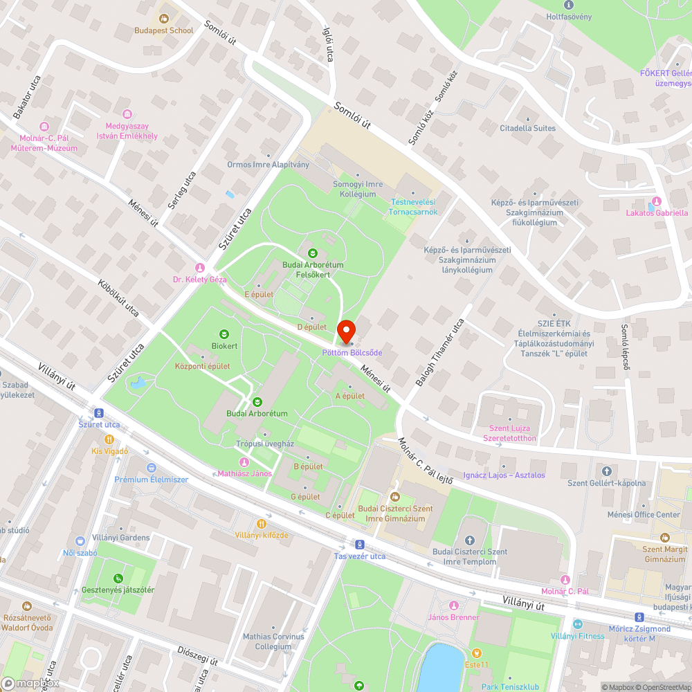 Kutyakaka bejelentés helye