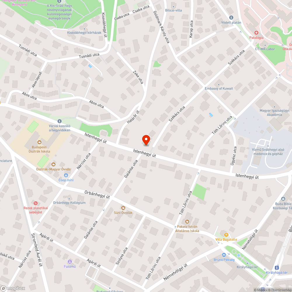 Eltömődött összefolyó, tükörvíz bejelentés helye