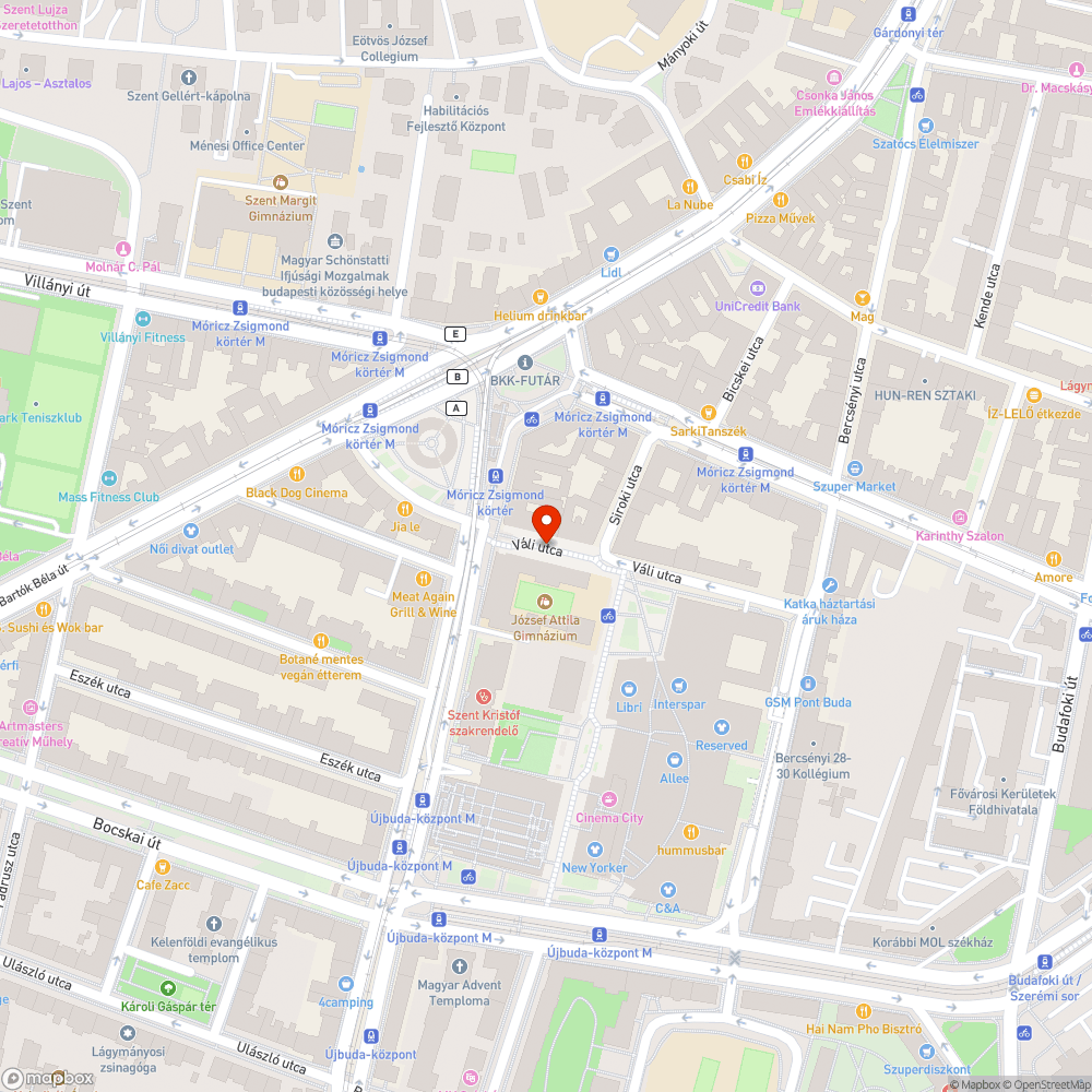 Továbbra sem ürítik az utcai szemeteseket bejelentés helye