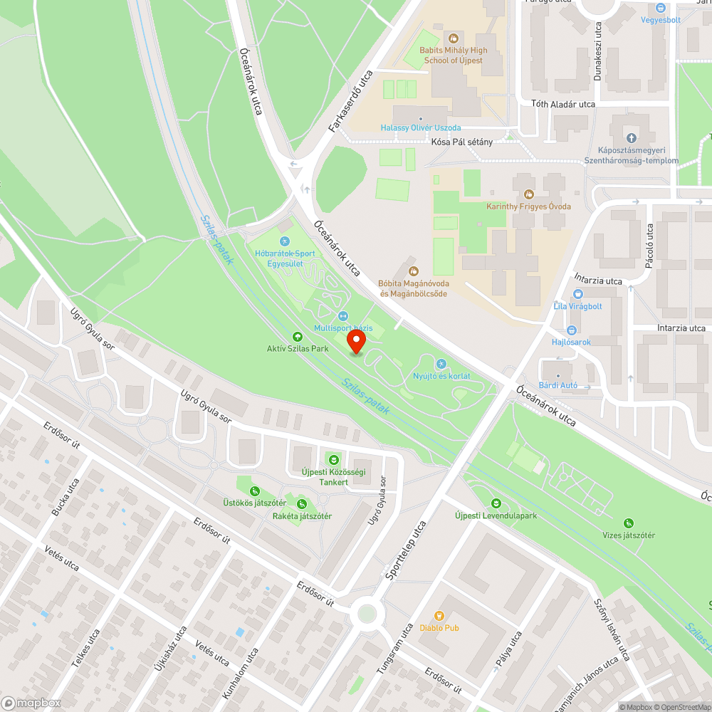 Szilas patak partján burjánzó gaz bejelentés helye