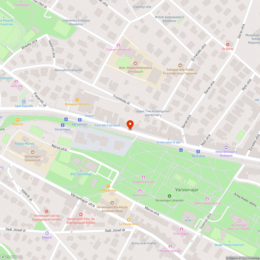 Parkolási anomáliák a Szilágyi Erzsébet fasoron bejelentés helye